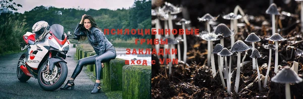 дживик Балахна