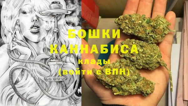 гидра Баксан
