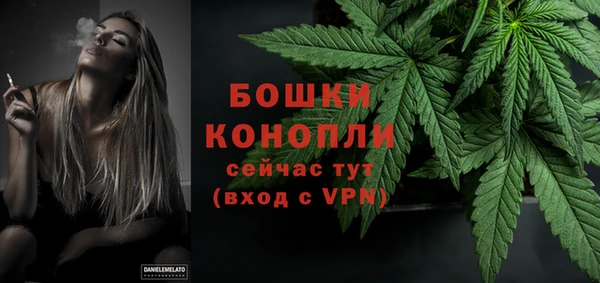 дживик Балахна