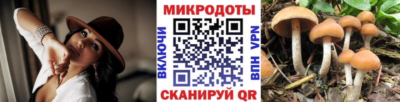 закладка blacksprut как зайти darknet как зайти Ленск Псилоцибиновые грибы Psilocybe